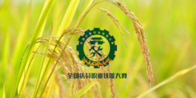 全國扶貧職業技能大賽LOGO設計揭曉