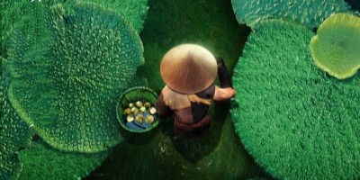 《風味人間2》宣傳海報設(shè)計，讓你饞到流口水